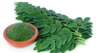 MORINGA Natalia Escabias