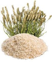 PSYLLIUM-HUSK Natalia Escabias